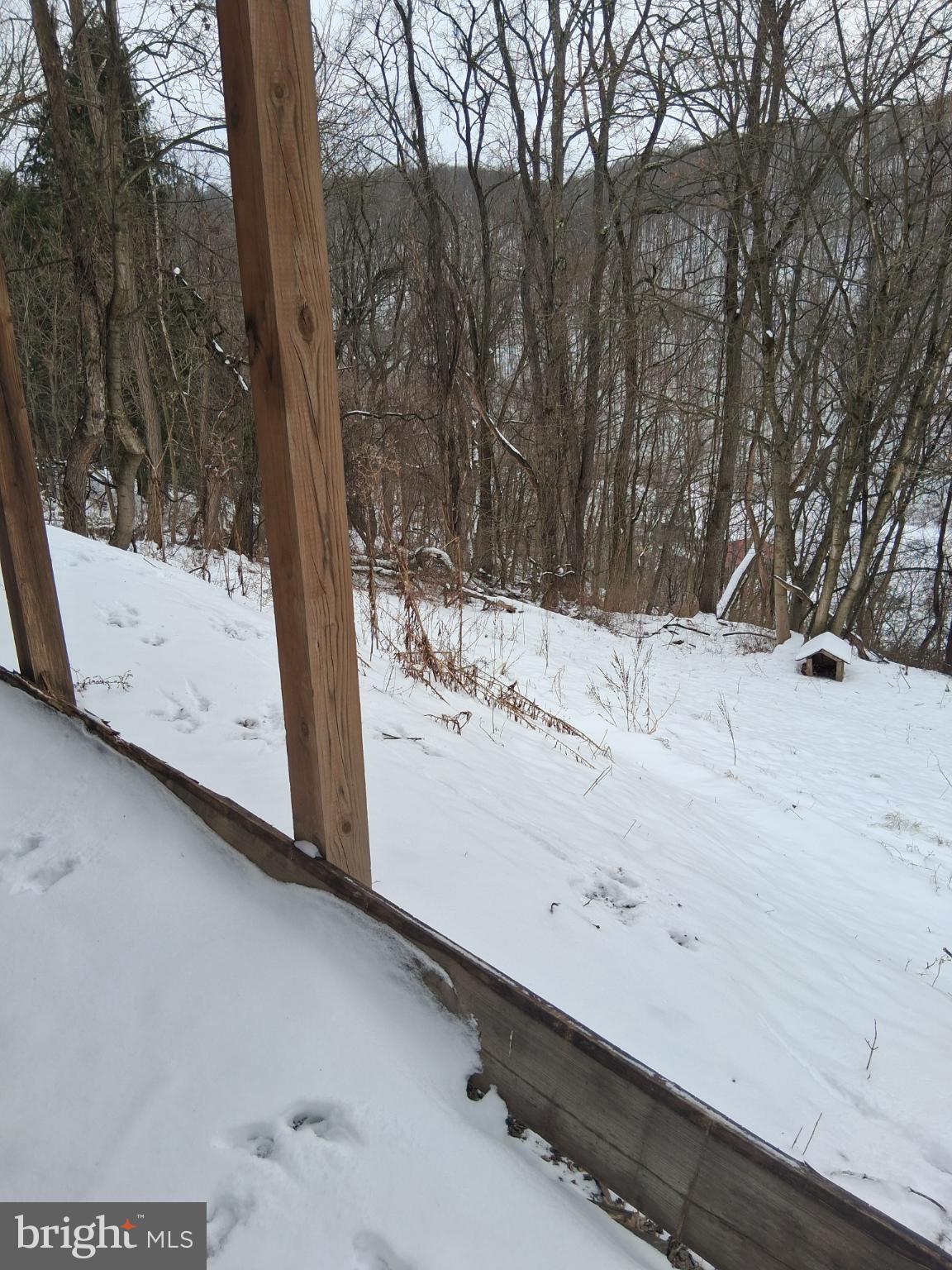 265 View Street Johnstown, PA 15902 - Photo 52 of 60 Backyard of the property