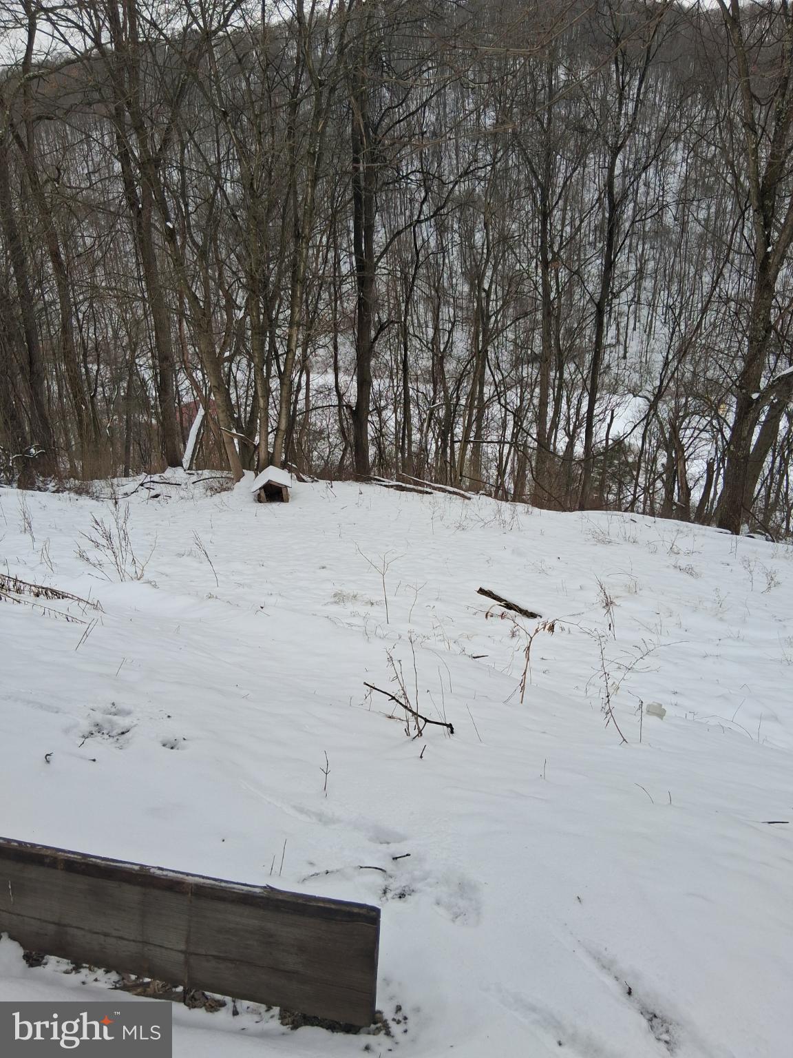 265 View Street Johnstown, PA 15902 - Photo 55 of 64 Property line goes to the tree line.