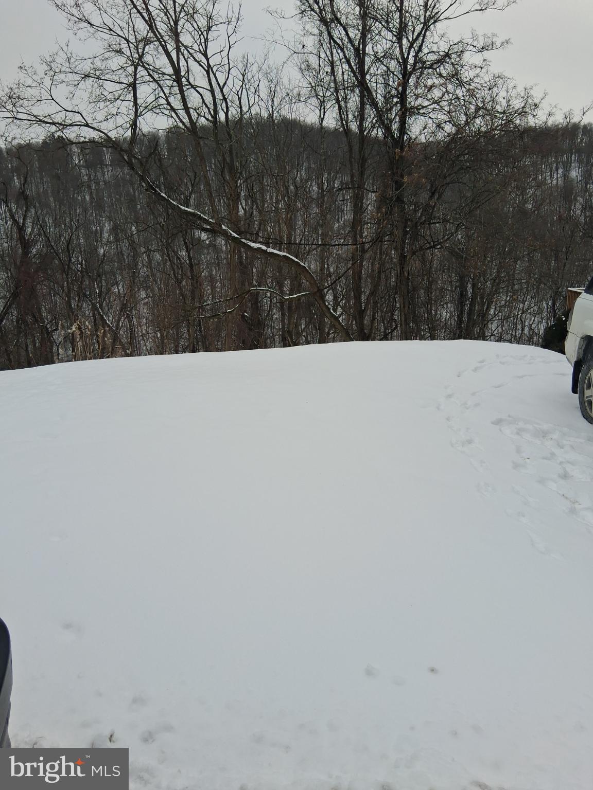 265 View Street Johnstown, PA 15902 - Photo 57 of 60 Side of home behind parking leading to backyard.