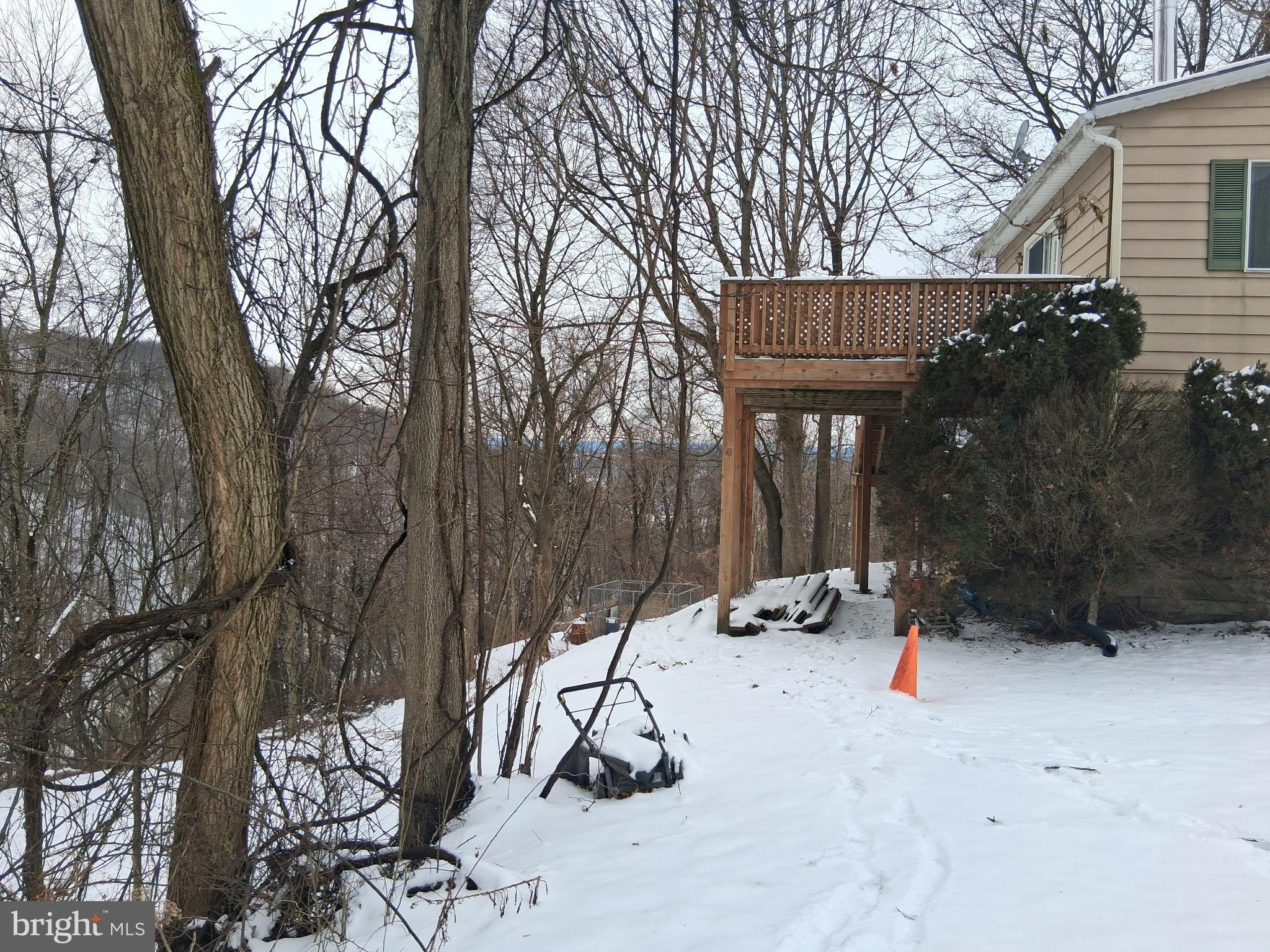 265 View Street Johnstown, PA 15902 - Photo 59 of 64 a view of backyard with large trees