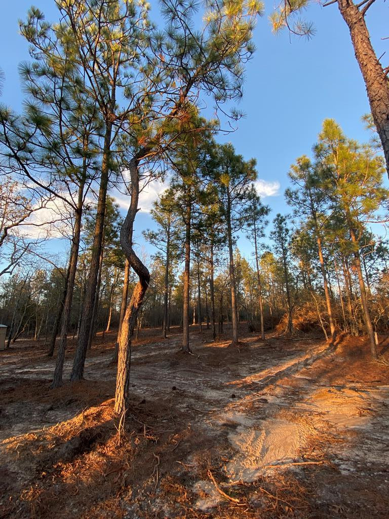 1148 Bacon Road Aiken, SC 29805 - Photo 26 of 48