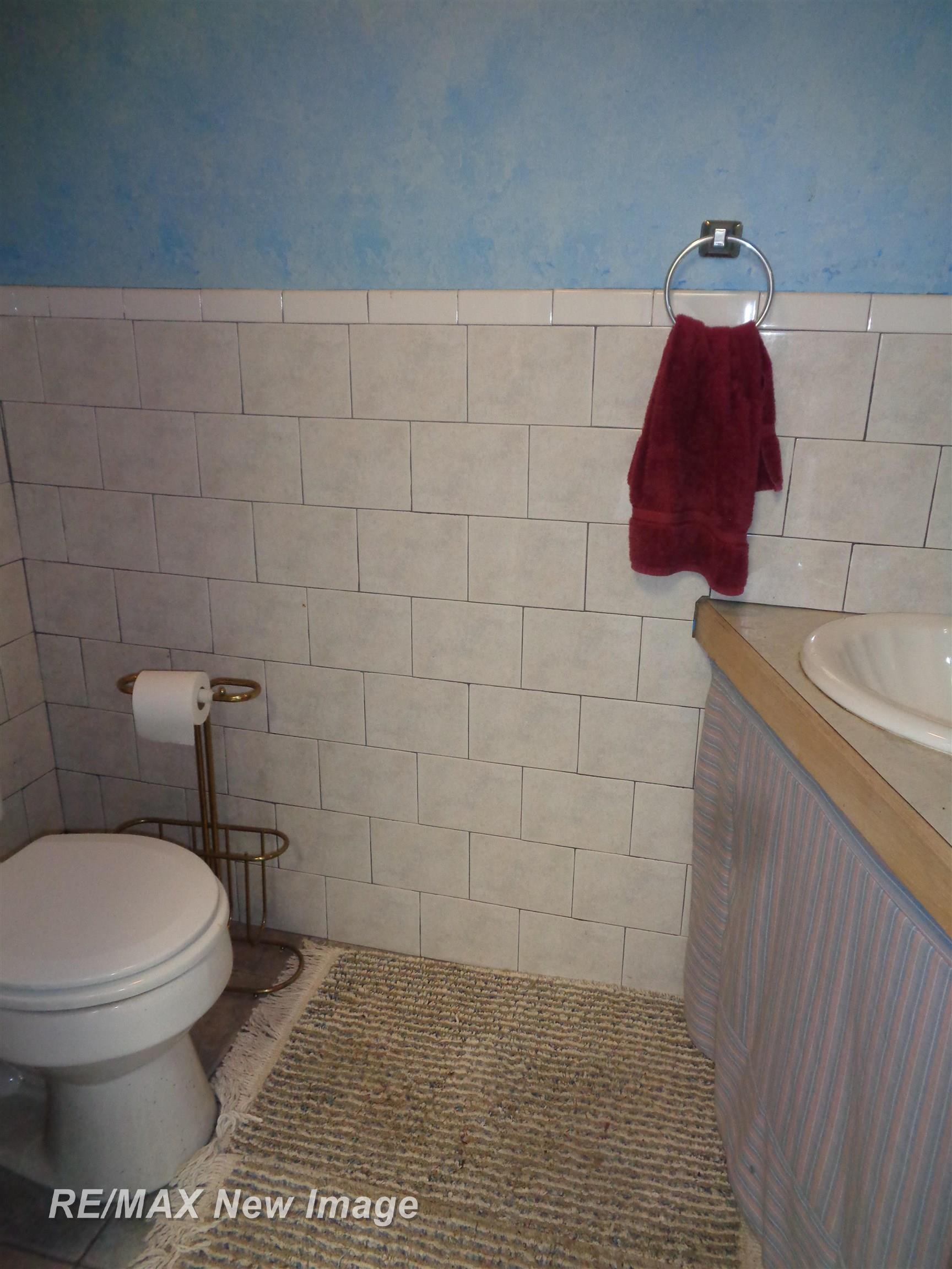 11315 Dice Road Freeland, MI 48623 - Photo 37 of 48