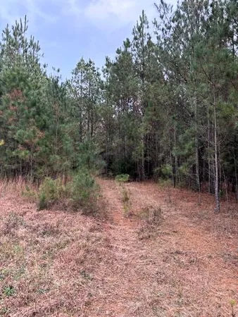 $114,900 | 458 East E Highway, Edgefield, SC 29824