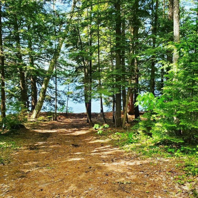 R7-l 4-6 North Pond Road Chesterville, ME 04938 - Photo 4 of 19 received_865993877101797MLS