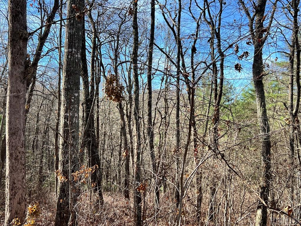 Lot 10 Shepherds Gap Road Cullowhee, NC 28723 - Photo 6 of 6 Gallery Image 6