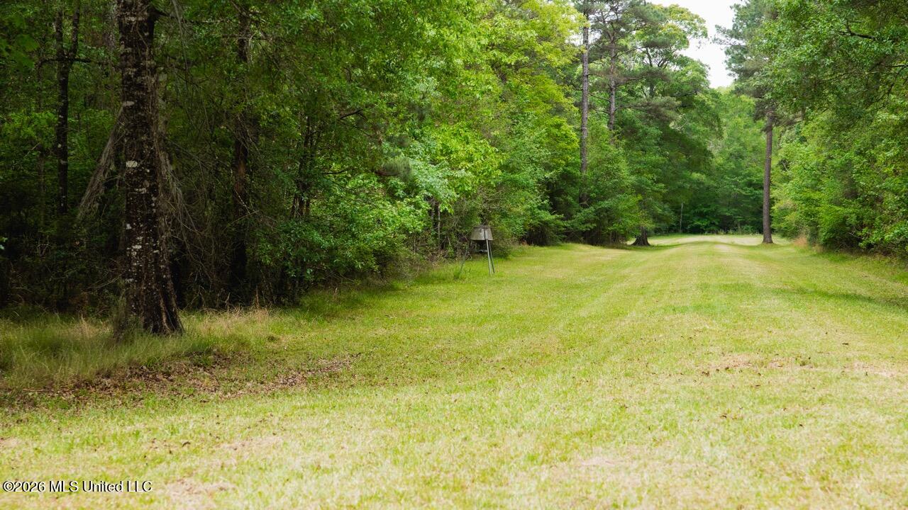 1979 Leman Road Oakdale, LA 71463 - Photo 36 of 44 0R6C9974 Large