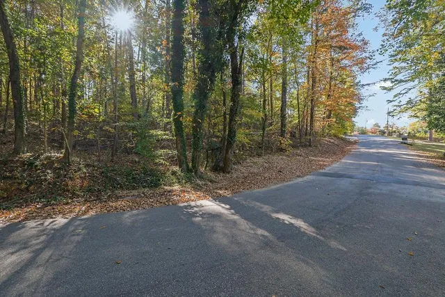 a view of a road with trees
