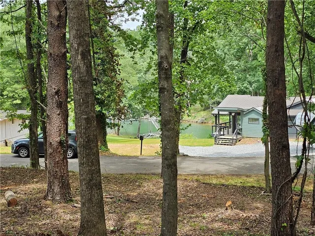 a view of a yard with a tree