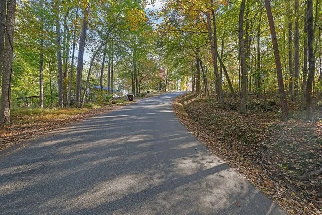 a view of a yard with large trees