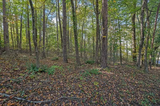 a view of outdoor space and green space