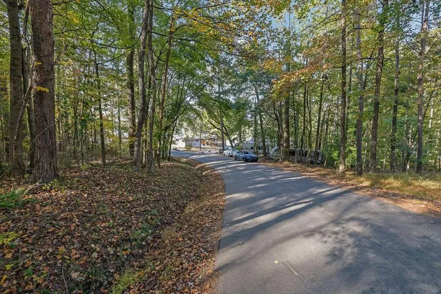 a view of backyard with green space