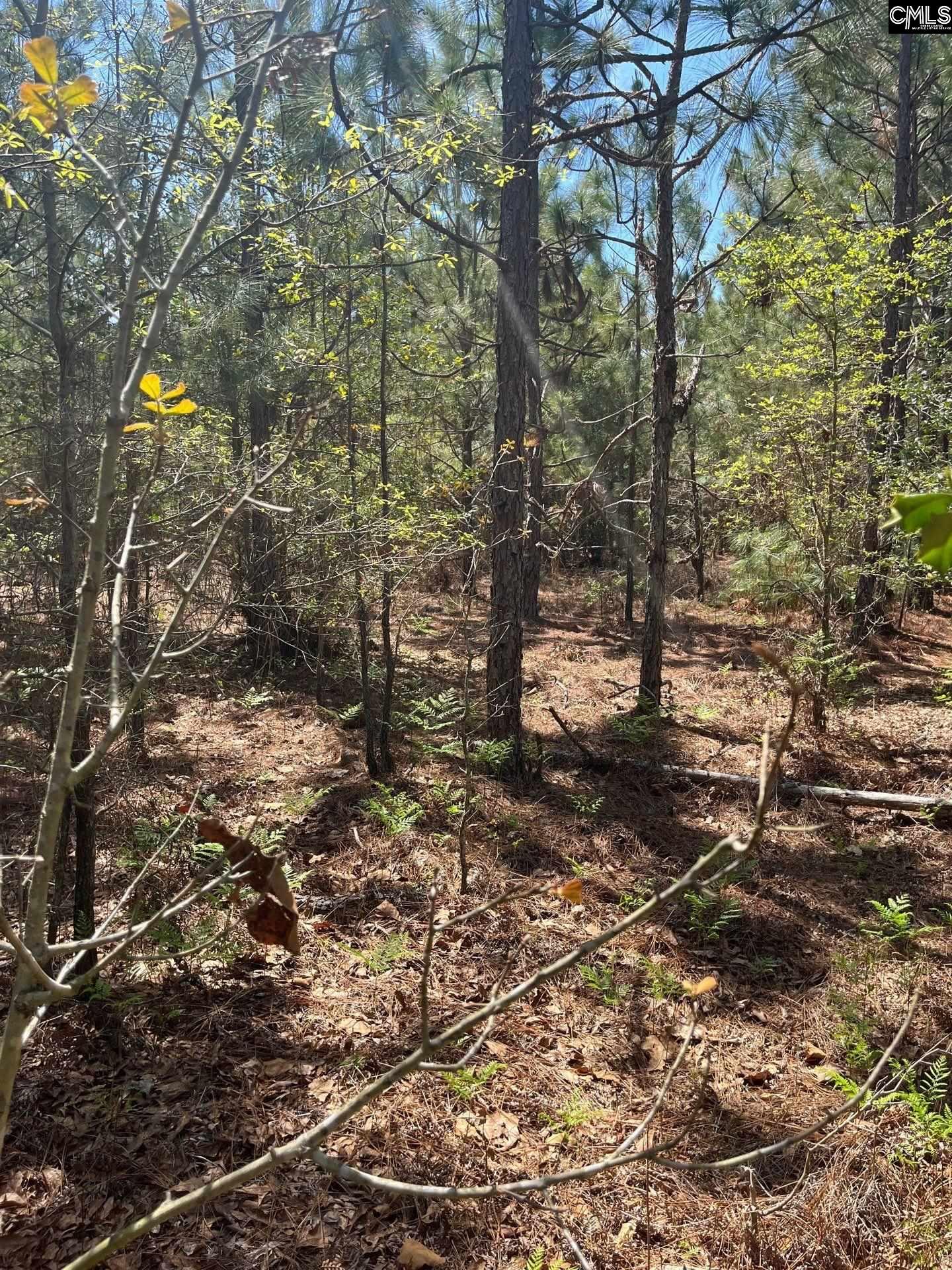 3 Beaver Dam Road Cassatt, SC 29032 - Photo 10 of 11