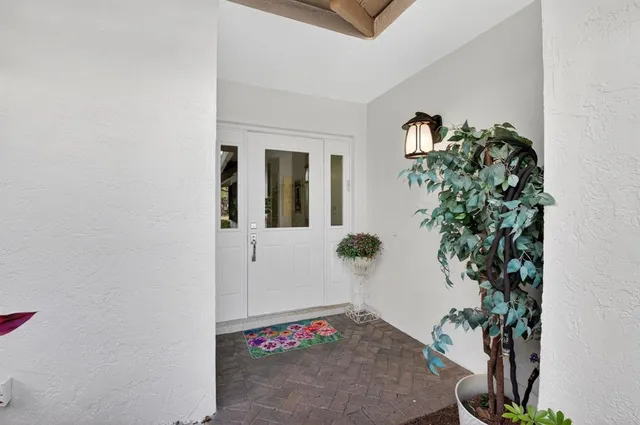 view of a potted plant sitting in front of a door