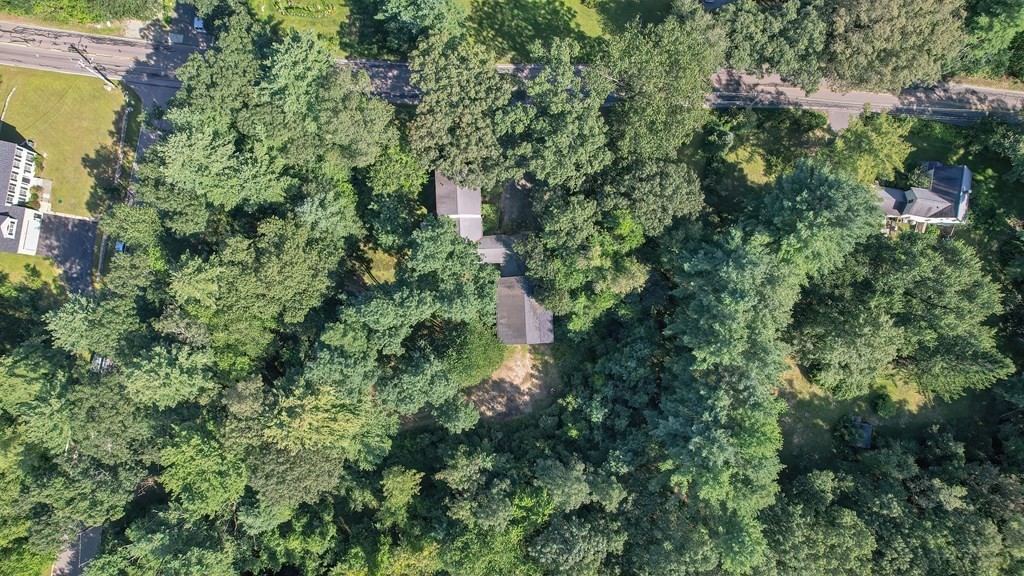 76 Brook Street Holliston, MA 01746 - Photo 16 of 31 an aerial view of residential house with outdoor space and trees all around