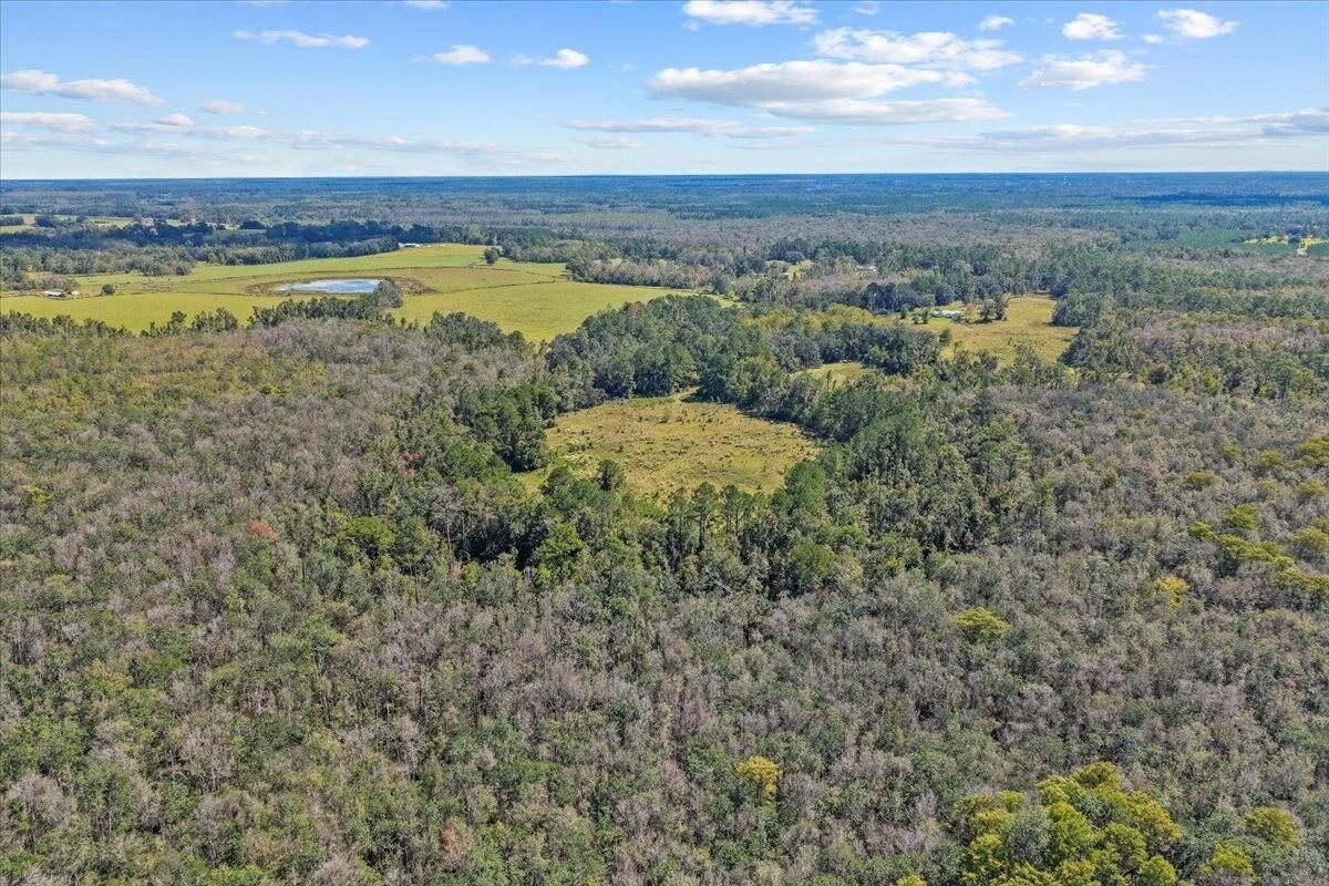 4087 Honey Lake Road Greenville, FL 32331 - Photo 27 of 31