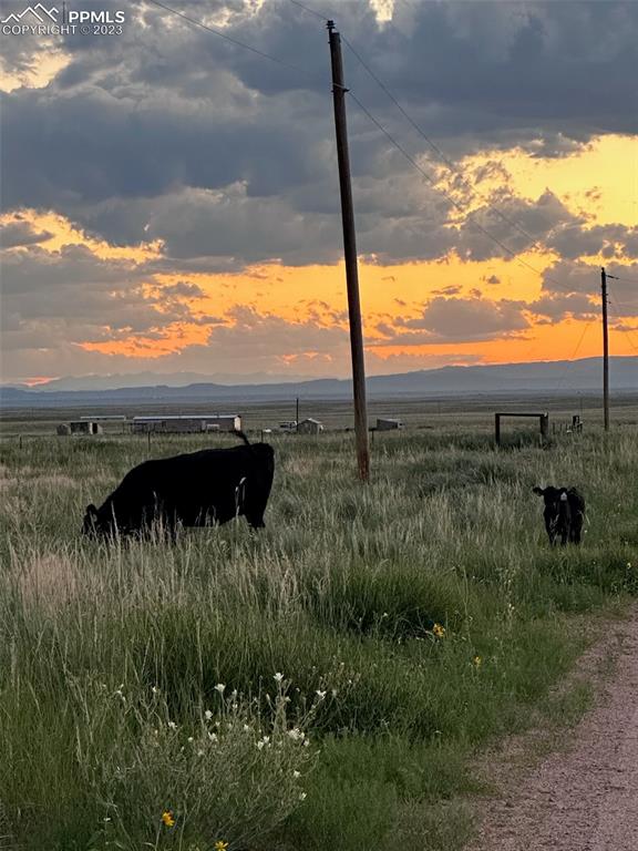 30595 Fred View Road Yoder, CO 80864 - Photo 19 of 21 a view of a garden