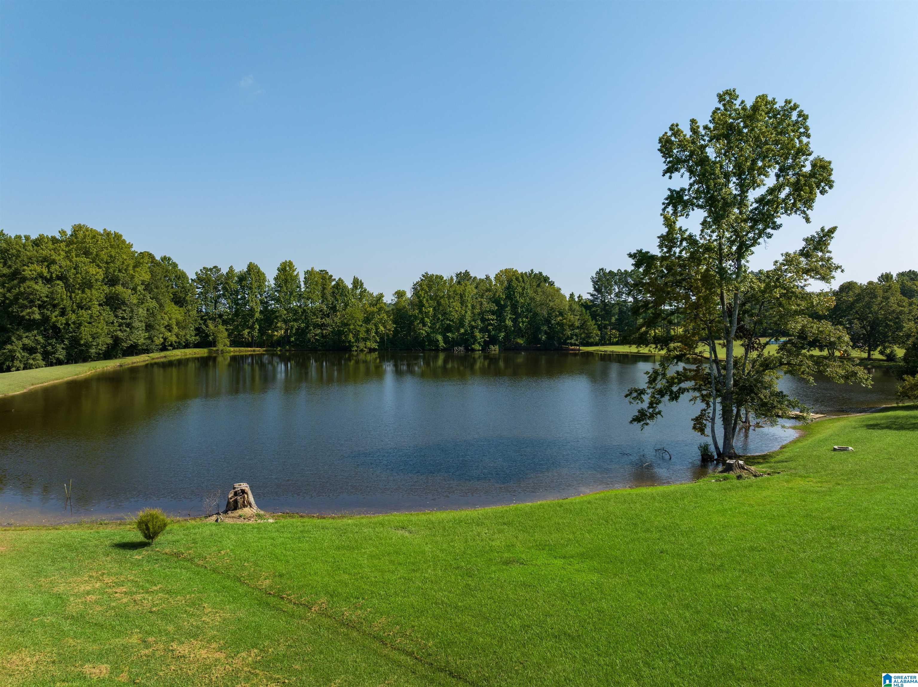 331 Johnson Drive Cleveland, AL 35049 - Photo 34 of 42