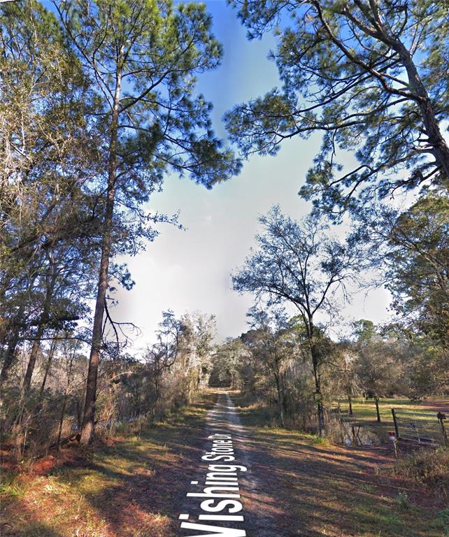 Stone Drive Webster, FL 33597 - Photo 3 of 3 a view of lake view