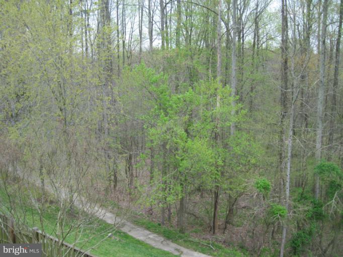 7439 Ridge Oak Court Springfield, VA 22153 - Photo 8 of 10 a view of a forest from a window