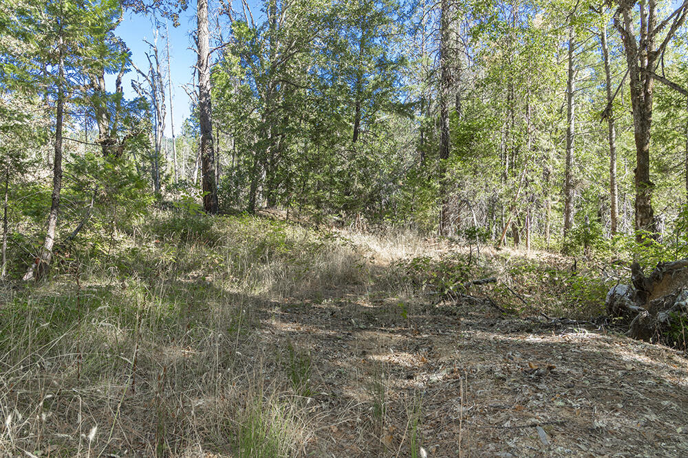 950 Bear Creek Road Selma, OR 97538 - Photo 23 of 36 IMG_5111