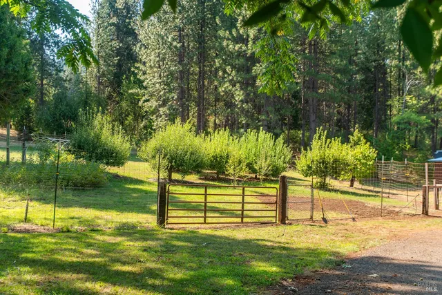 $3,495,000 | 0 Summit Lake Road, Montgomery Creek, CA 96065