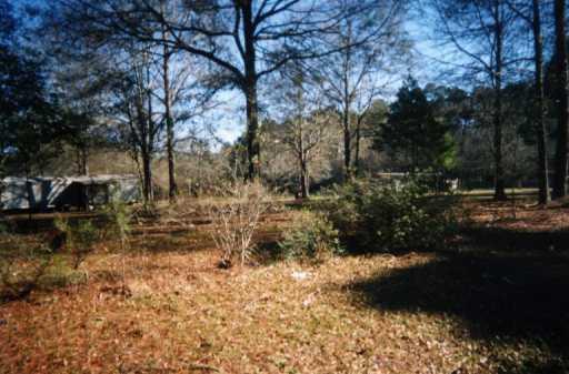 30182 North Cafe Line Road Albany, LA 70711 - Photo 3 of 4 Gallery Image 3