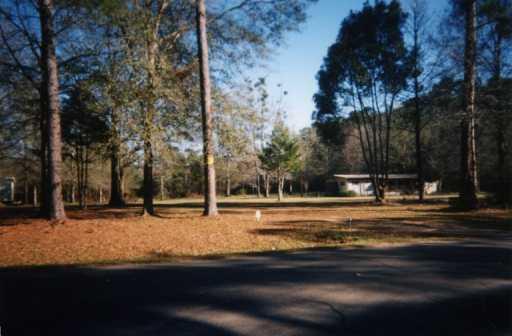 30182 North Cafe Line Road Albany, LA 70711 - Photo 4 of 4 Gallery Image 4