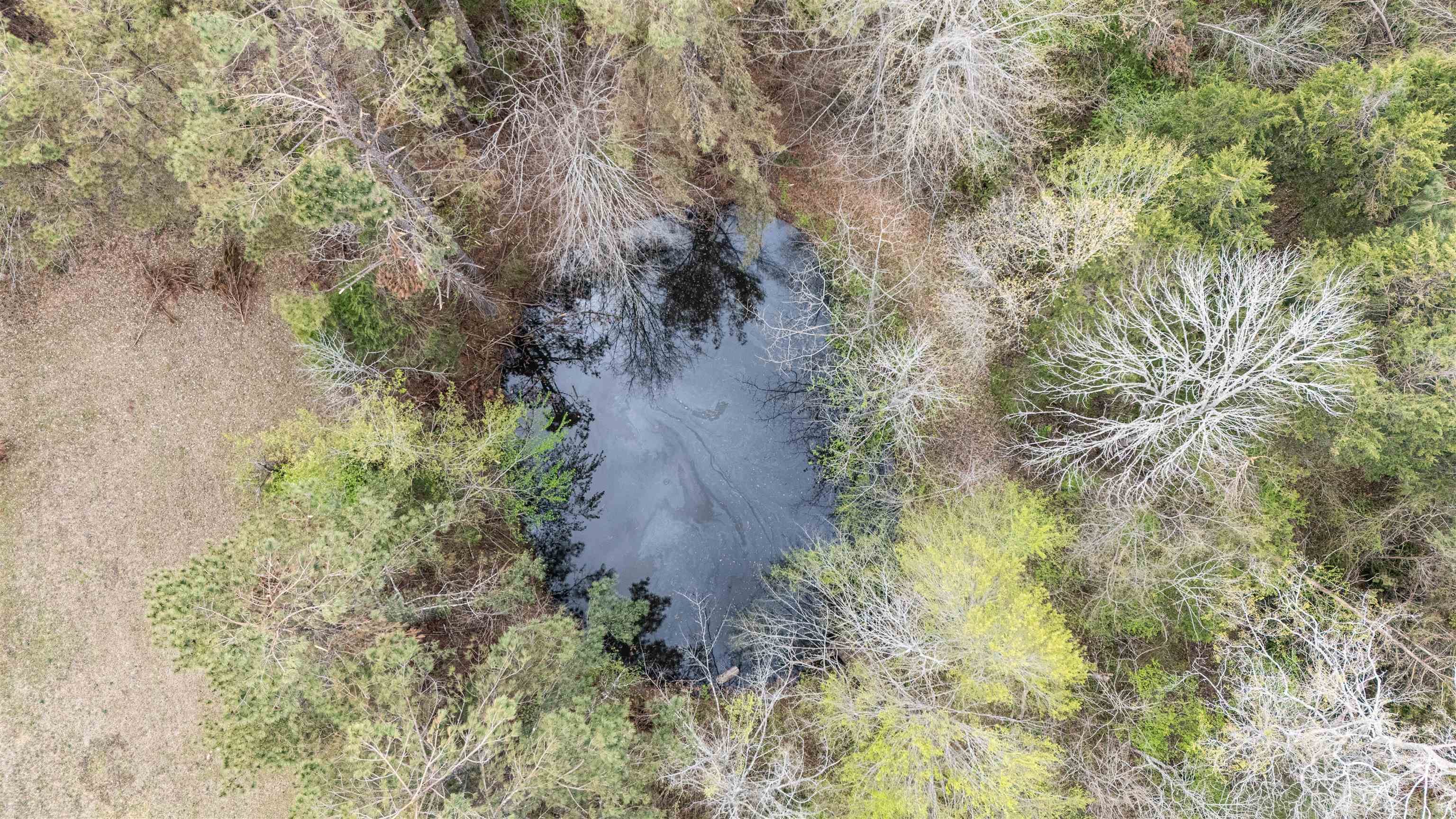 1040 Pocahontas Road Pocahontas, TN 38061 - Photo 14 of 14 a view of a yard with plants and a brick wall