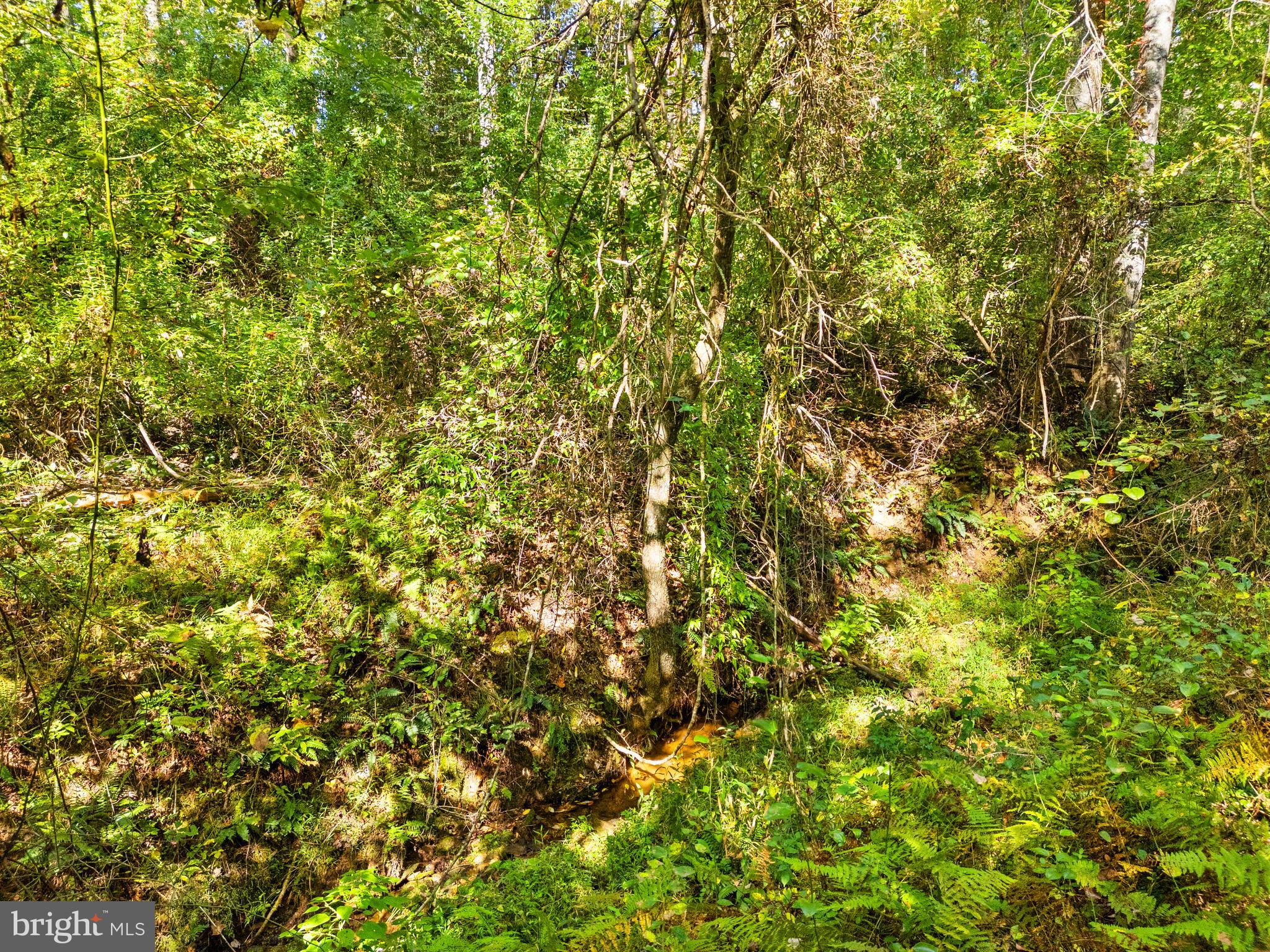 Vacant Land Cabin Branch Road Marshall, VA 20115 - Photo 25 of 28