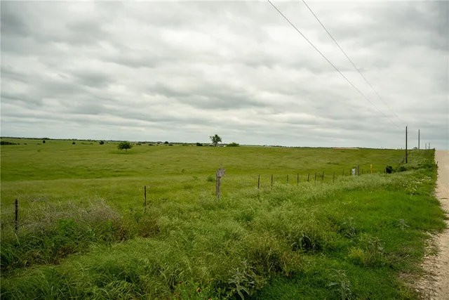 a view of a field with an ocean