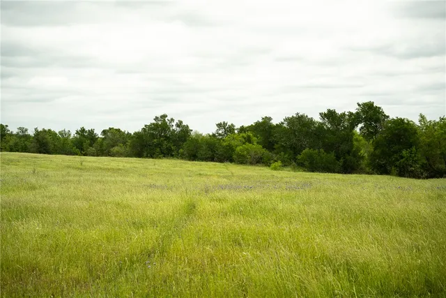 a view of a big yard with large trees