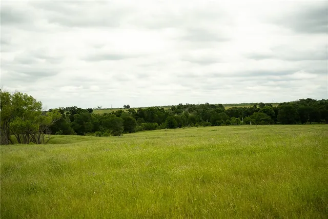 a view of field and mountain in the background