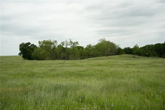 a view of a green field with wooden fence