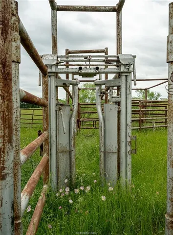 a partial view of a garden