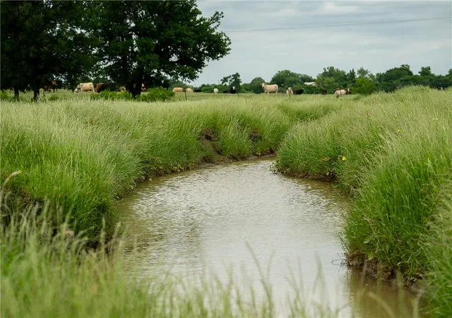 a view of lake with green space