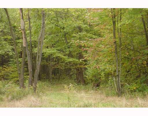 574 Waterloo Road Utica, PA 16362 - Photo 7 of 8 Land/Lot.