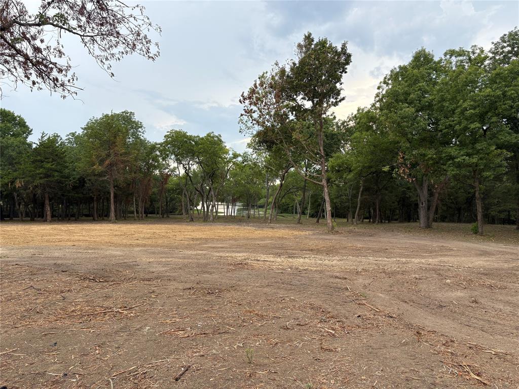 Lot 2 County Road 534 Whitewright, TX 75491 - Photo 11 of 27 a view of outdoor space with trees all around