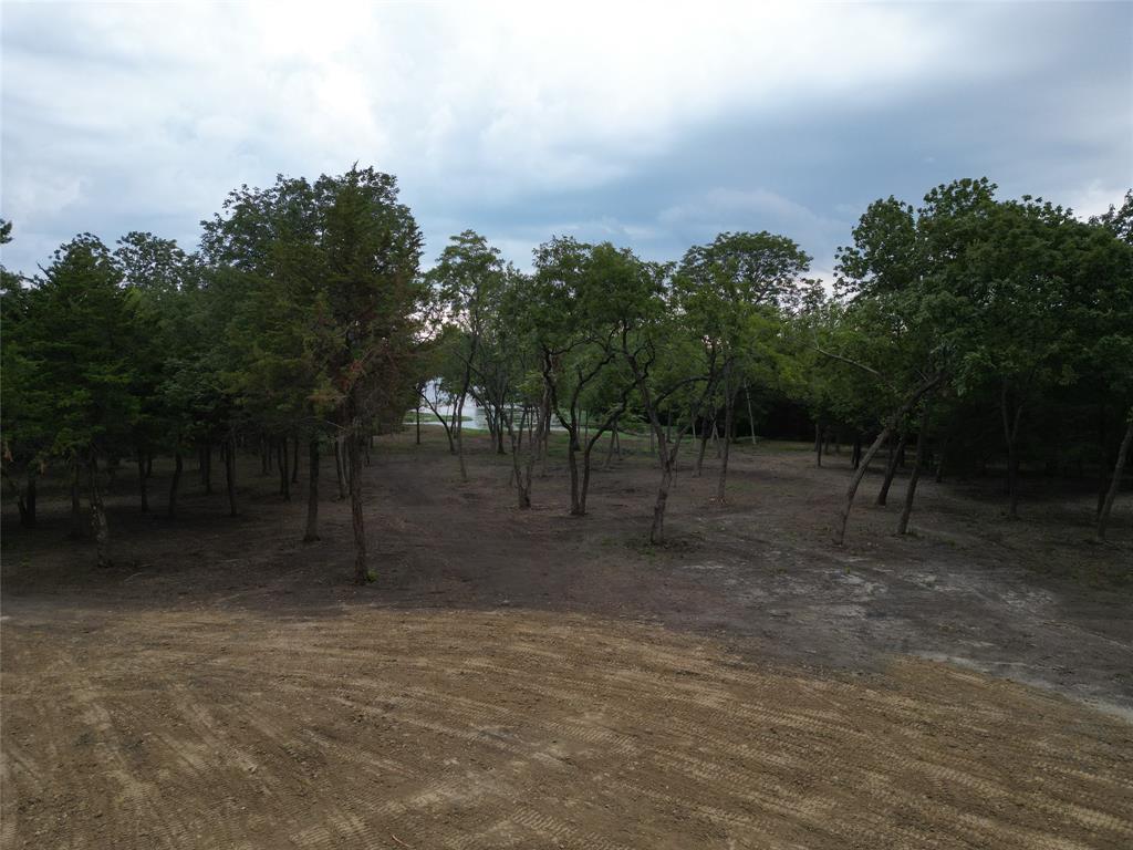 Lot 2 County Road 534 Whitewright, TX 75491 - Photo 16 of 27 a view of a backyard with trees