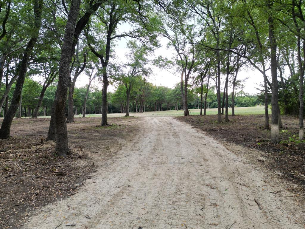 Lot 2 County Road 534 Whitewright, TX 75491 - Photo 19 of 27 a view of outdoor space with trees