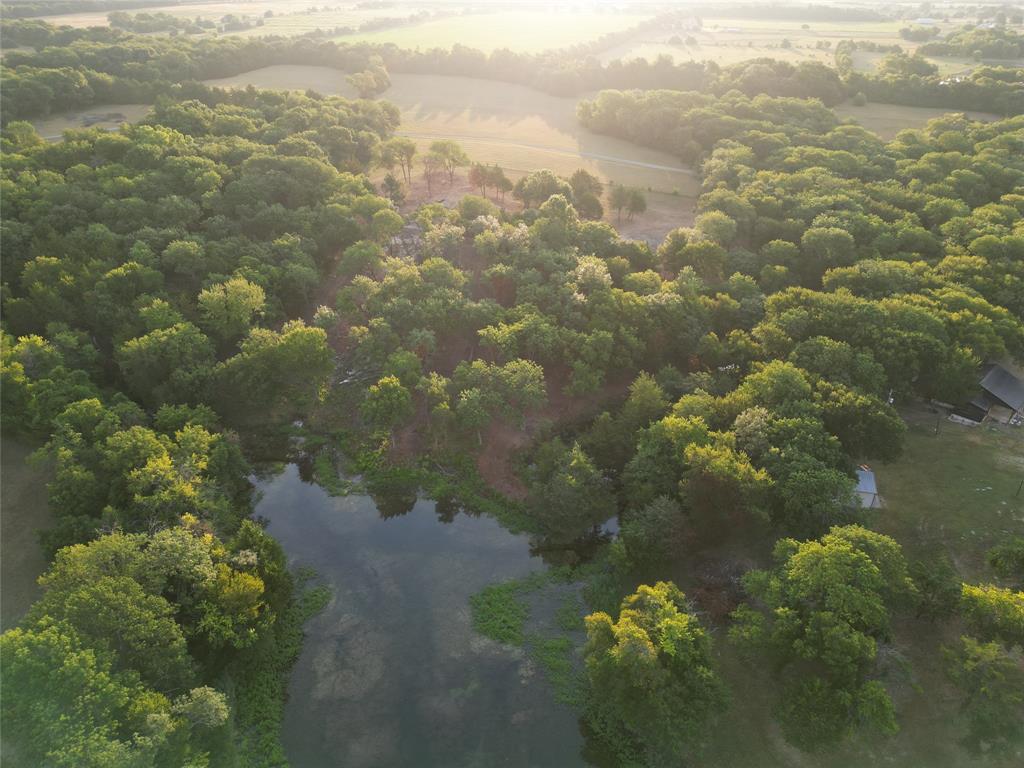 Lot 2 County Road 534 Whitewright, TX 75491 - Photo 2 of 27 a view of a lake with a forest