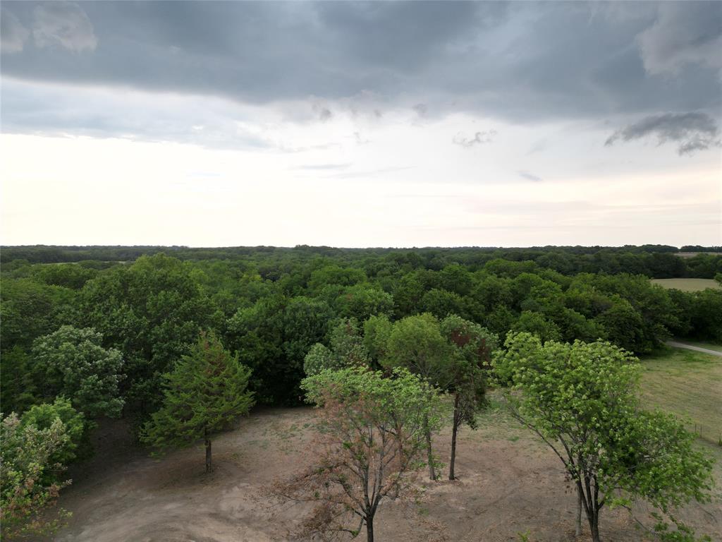 Lot 2 County Road 534 Whitewright, TX 75491 - Photo 23 of 27 a view of a city with lush green forest
