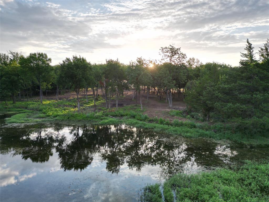 Lot 2 County Road 534 Whitewright, TX 75491 - Photo 4 of 27 a view of a park with large trees