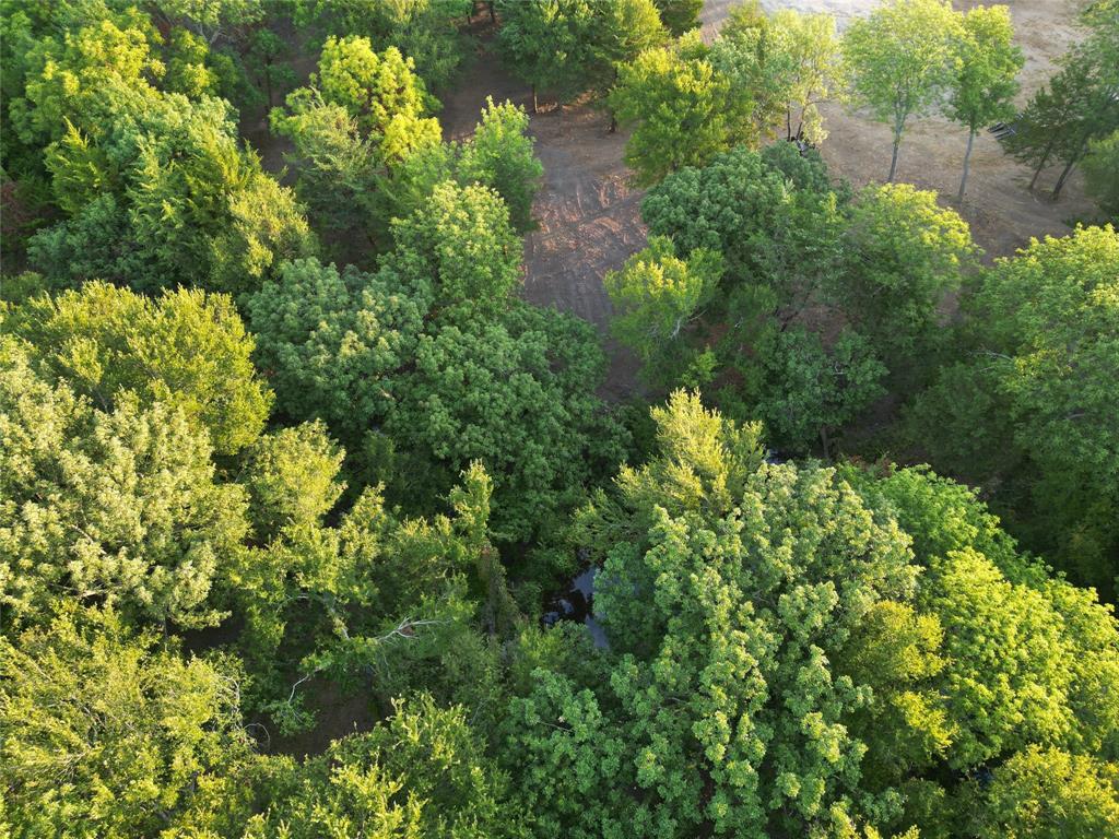 Lot 2 County Road 534 Whitewright, TX 75491 - Photo 6 of 27 a view of a garden with plants