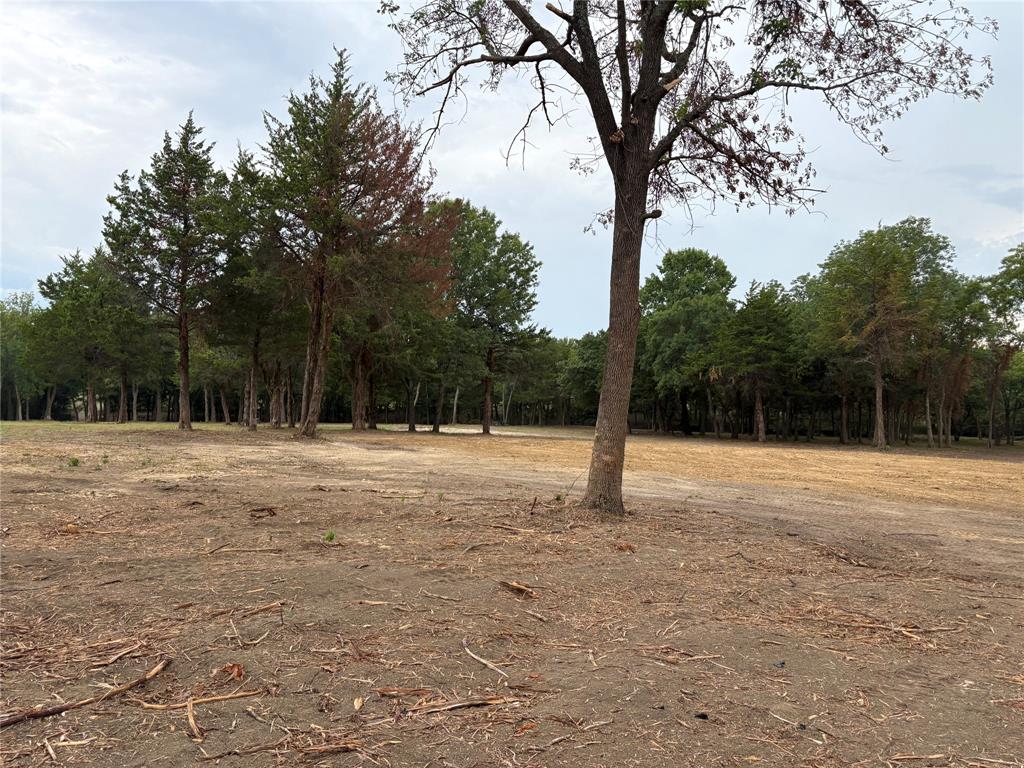 Lot 2 County Road 534 Whitewright, TX 75491 - Photo 10 of 27 a backyard of a house with lots of trees