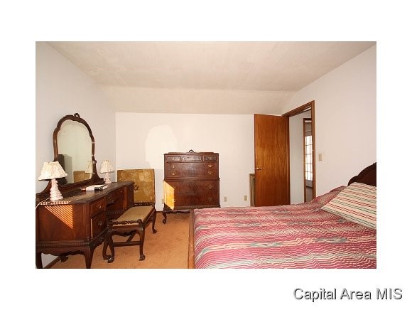 313 West Spruce Street Chatham, IL 62629 - Photo 11 of 23