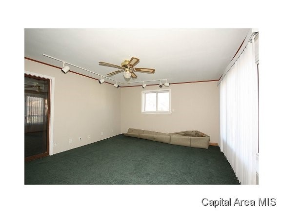 313 West Spruce Street Chatham, IL 62629 - Photo 15 of 23