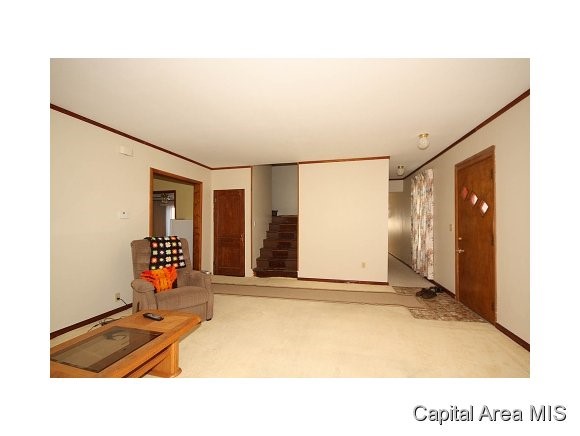 313 West Spruce Street Chatham, IL 62629 - Photo 18 of 23