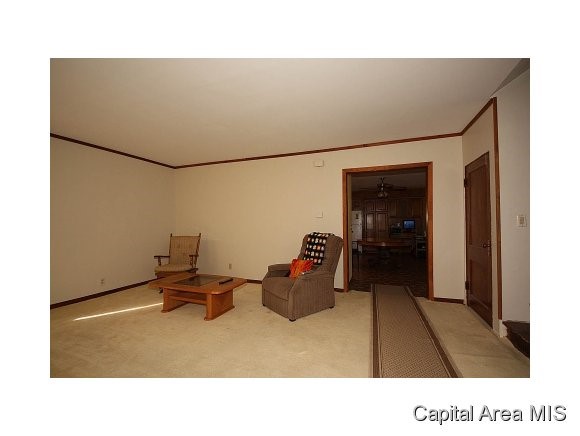 313 West Spruce Street Chatham, IL 62629 - Photo 19 of 23