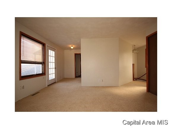 313 West Spruce Street Chatham, IL 62629 - Photo 21 of 23