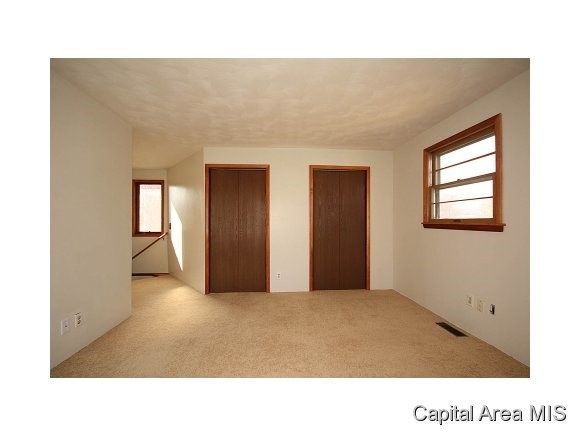 313 West Spruce Street Chatham, IL 62629 - Photo 22 of 23